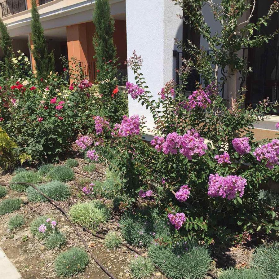 Prestige Fort Beach Private Apartment-Studio 46 Sveti Vlas Exterior foto